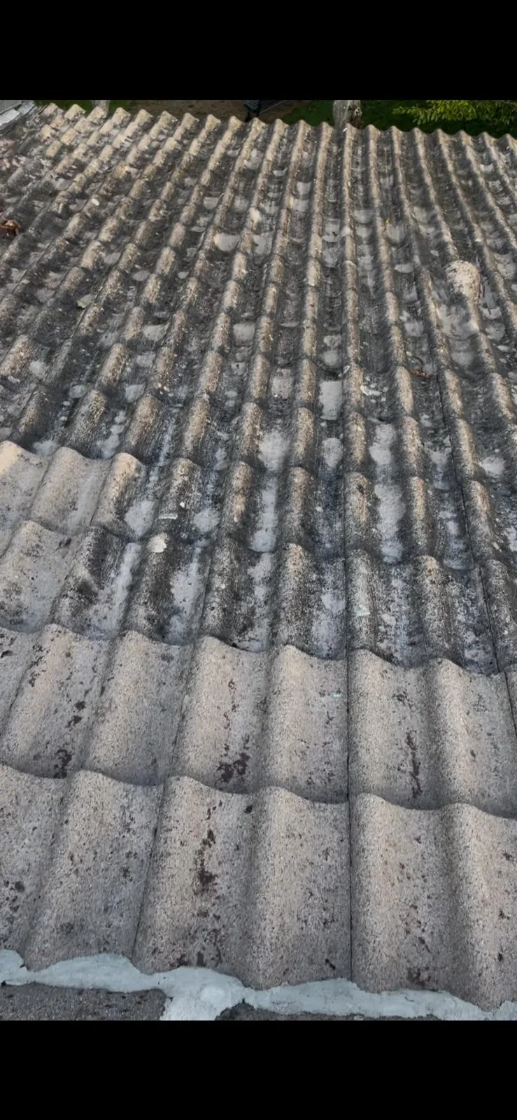 Nettoyage de Toiture - Photo 6