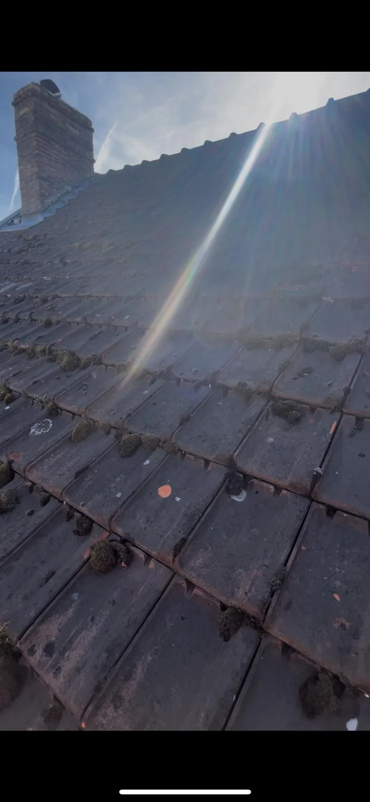 Nettoyage de Toiture - Photo 10