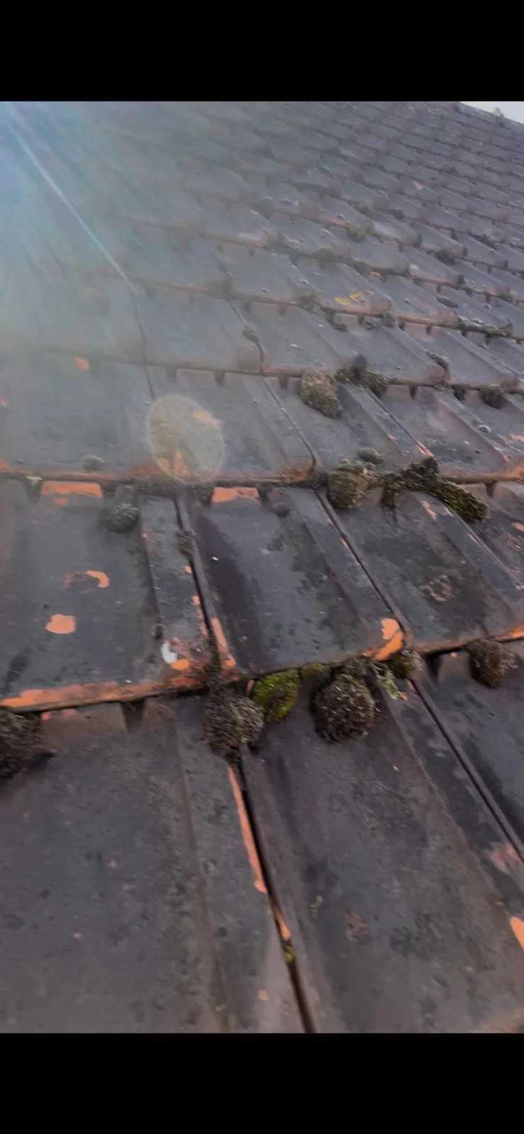 Nettoyage de Toiture - Photo 2