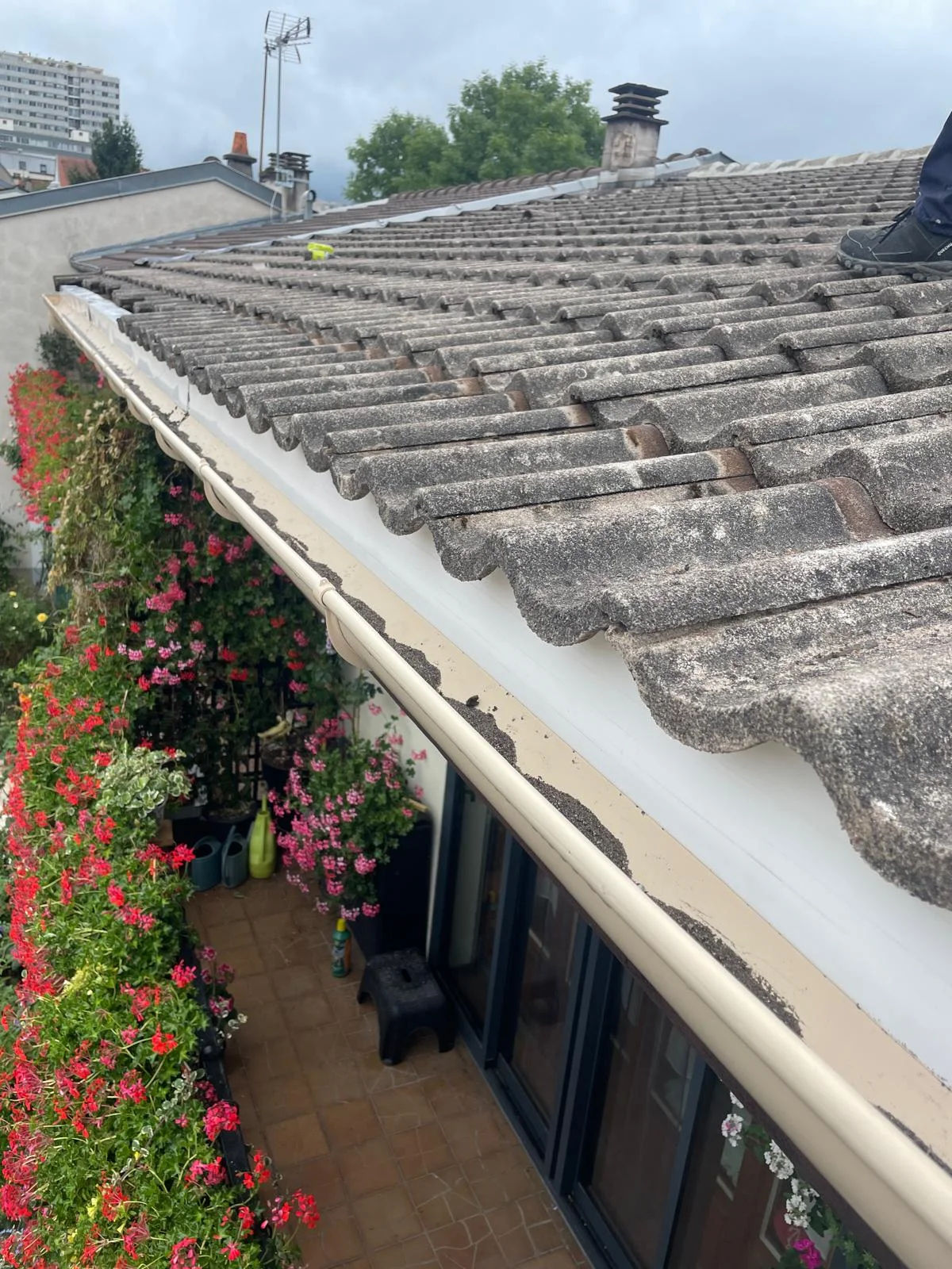 Nettoyage de Toiture - Photo 9