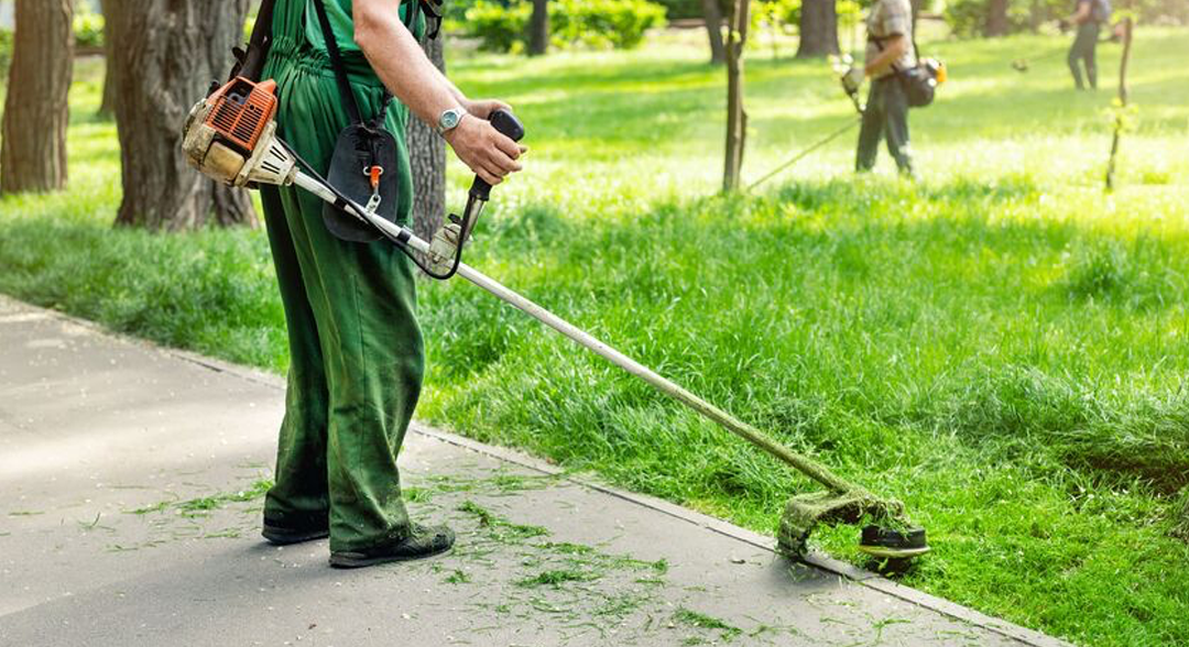 Taille et entretien des espaces verts